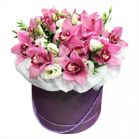 Gėlių dėžutė„Rožinė akimirka“