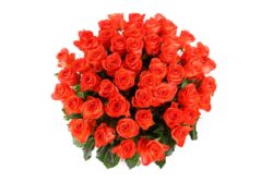 Rožių puokštė„Oranžinė”