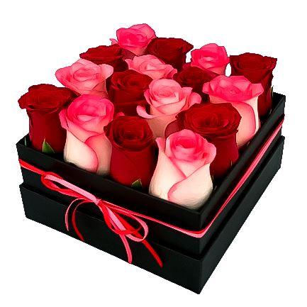 Gėlių dėžutė„Miksas“