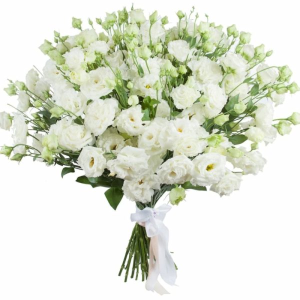 Gėlių puokštė “ Baltos eustomos“